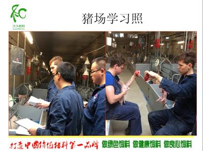 黨廣輝:歐洲現代化高效養(yǎng)豬技術-荷蘭豬場考察學習分享