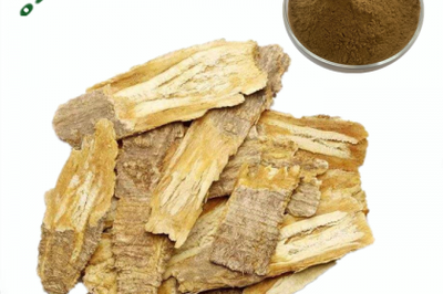 歐澤生物飼料級黃芪提取物 畜牧業(yè)綠色養(yǎng)殖的新寵