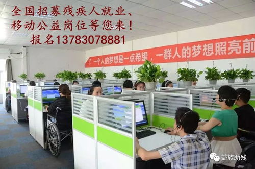 數字賦能，共創未來 電子商務為殘疾人群體帶來的新機遇與信息咨詢服務支持